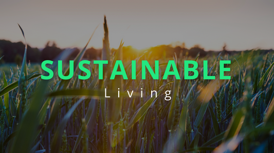 Organic Choices for a Brighter Tomorrow: The Drive Towards Ultimate Sustainability